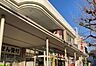 周辺：スギ薬局常盤店まで525m