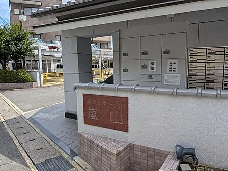 現地写真