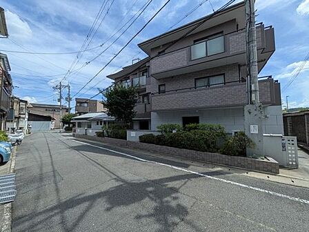 現地写真
