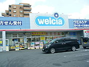 ウエルシア座間ひばりが丘店まで1344m