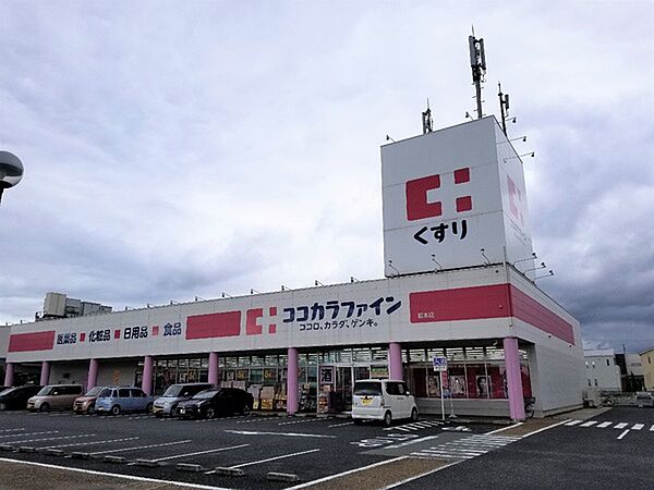 周辺を拡大表示