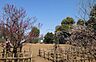 周辺：羽根木公園まで1093m
