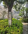 亀の甲緑地まで...