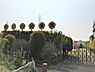 周辺：だいわ幼稚園まで564m