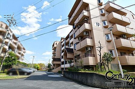 ■現地撮影写真■スーパーが周辺に近接していますので、毎日のお買い物も楽々です!