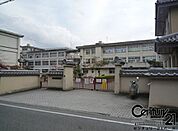 斑鳩町立斑鳩小学校まで400m