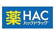 ハックドラッグ新子安店まで981m、徒歩約12分です。