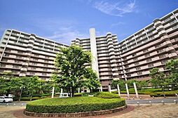 物件画像 コート和泉府中セルカ　中古マンション