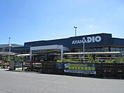 アヤハディオ長浜店まで397m