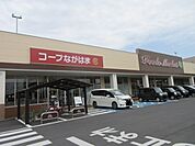 コープながはま店まで379m、食品や日用品が揃うお店です。