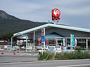 コメリハード＆グリーン山東店まで1587m