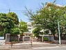 周辺：葛飾区立細田小学校まで800m