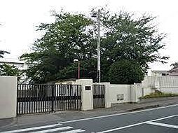 [周辺] 松戸市立第一中学校まで799m
