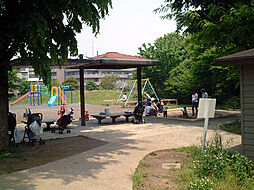 [周辺] 【公園】入江町公園まで1181ｍ