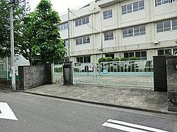 [周辺] 川崎市立向小学校まで275m