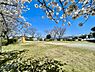 周辺：柏原北公園まで743m
