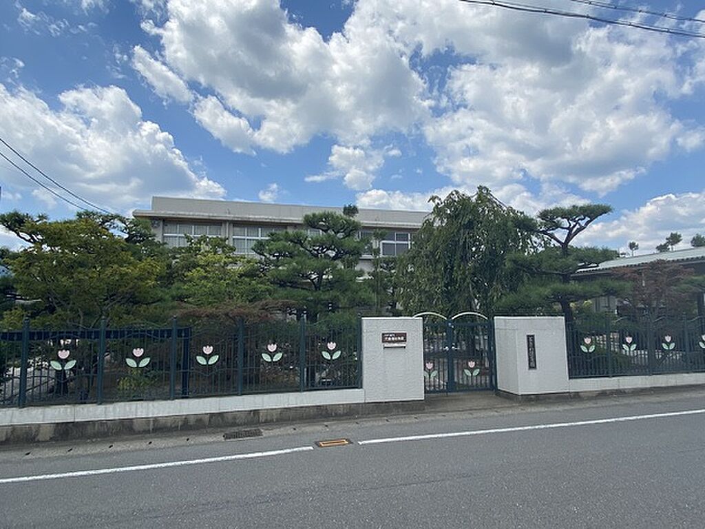 Image 12