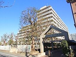 物件画像 南林間ハイライズ