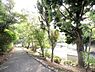 周辺：代官中央公園まで567m