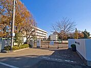 柏市立中原中学校まで1100m