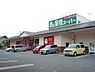 周辺：業務スーパー常盤平店まで410m
