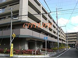 物件画像 パデシオン丸太町