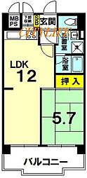 ルミエール西大路 1LDKの間取図画像