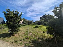 物件画像 東金市求名 土地