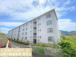 物件画像 関屋あしびハイツ　11号棟