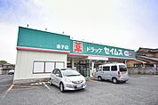 ドラッグセイムス 金子店まで541m、営業時間　8:30-21:45ポイントデー