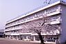 周辺：秦野市立大根小学校まで1191m