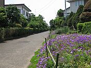 さがみの仲よし小道まで1252m