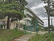流山市立西初石小学校まで800m