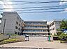 周辺：松戸市立六実中学校まで1000m