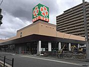ライフ鶴見今津北店まで575m