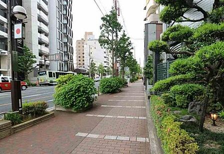 前道