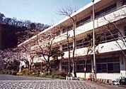 鎌倉市立今泉小学校まで588m