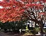 周辺：御幣公園まで1509m
