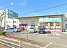 周辺：業務スーパー海老名店まで559m