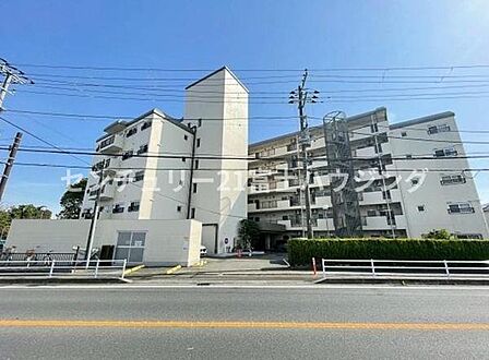 リノベーション完成しました。空室の為いつでもご案内が可能です!
