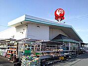 コメリハード＆グリーン中主店まで694m