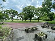 大中公園まで1641m、3月下旬から4月上旬にかけては、大中公園を中心に川の両岸南北2.5キロメートルにわたり、見事な花が続きます。