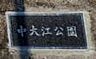 周辺：中大江公園まで1156m