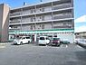 周辺：ファミリーマート高槻川西町一丁目店まで600m