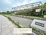 周辺：島屋南公園まで352m