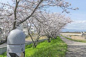 ビエノス欲賀  ｜ 滋賀県守山市欲賀町（賃貸アパート2LDK・1階・91.67㎡） その13