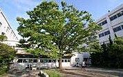 草津市立草津中学校まで1408m