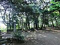 大塚山公園まで...