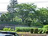 周辺：八王子市立船田小学校まで650m