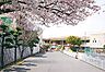 周辺：こみね幼稚園まで1561m